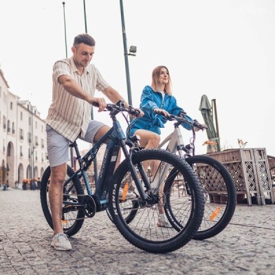 Bicicleta eléctrica GOGOBEST GM27