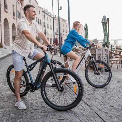 Bicicleta eléctrica GOGOBEST GM27