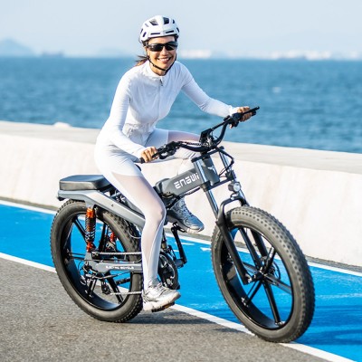 ENGWE X26 Electric Bike 48V 1000W Motor 19Ah