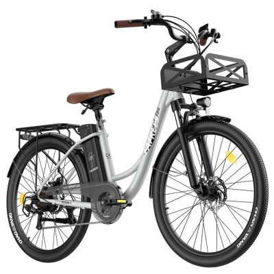 Bicicleta eléctrica Fafrees F26 Lasting