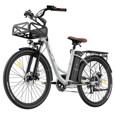 Bicicleta eléctrica Fafrees F26 Lasting