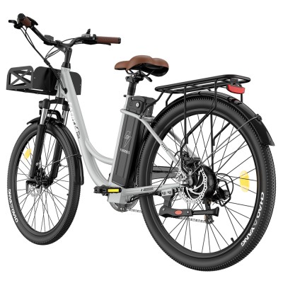 Bicicleta eléctrica Fafrees F26 Lasting