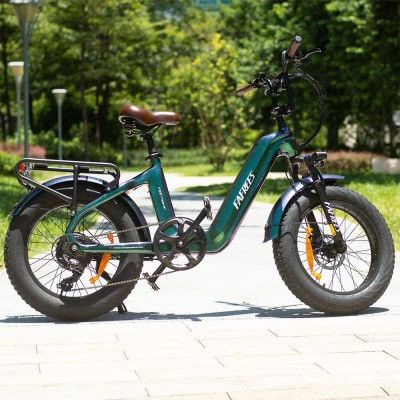 Bicicleta eléctrica Fafrees F20 Master