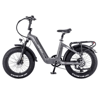 Bicicleta eléctrica Fafrees F20 Master