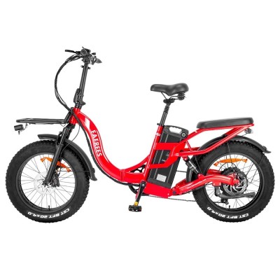 Bicicleta eléctrica Fafrees F20 X-Max