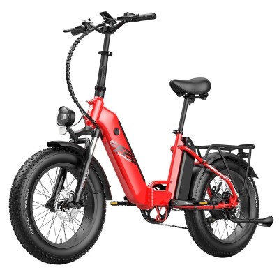 Bicicleta eléctrica Fafrees FF20 Polar