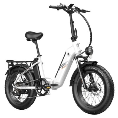 Bicicleta eléctrica FAFREES FF20 Polar