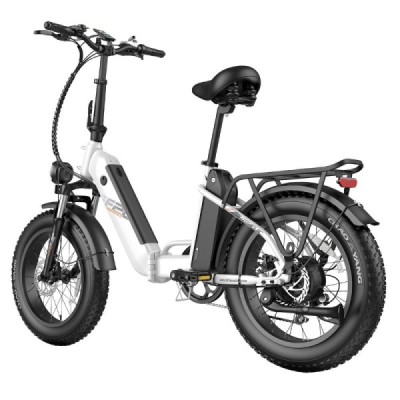 Bicicleta eléctrica FAFREES FF20 Polar